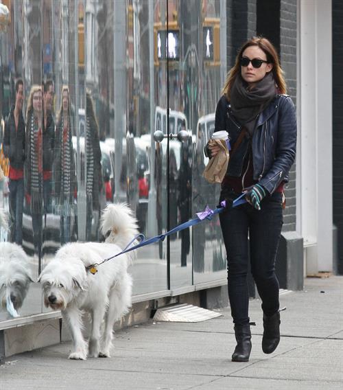 Olivia Wilde out walking her dog in New York City - February 16, 2013 