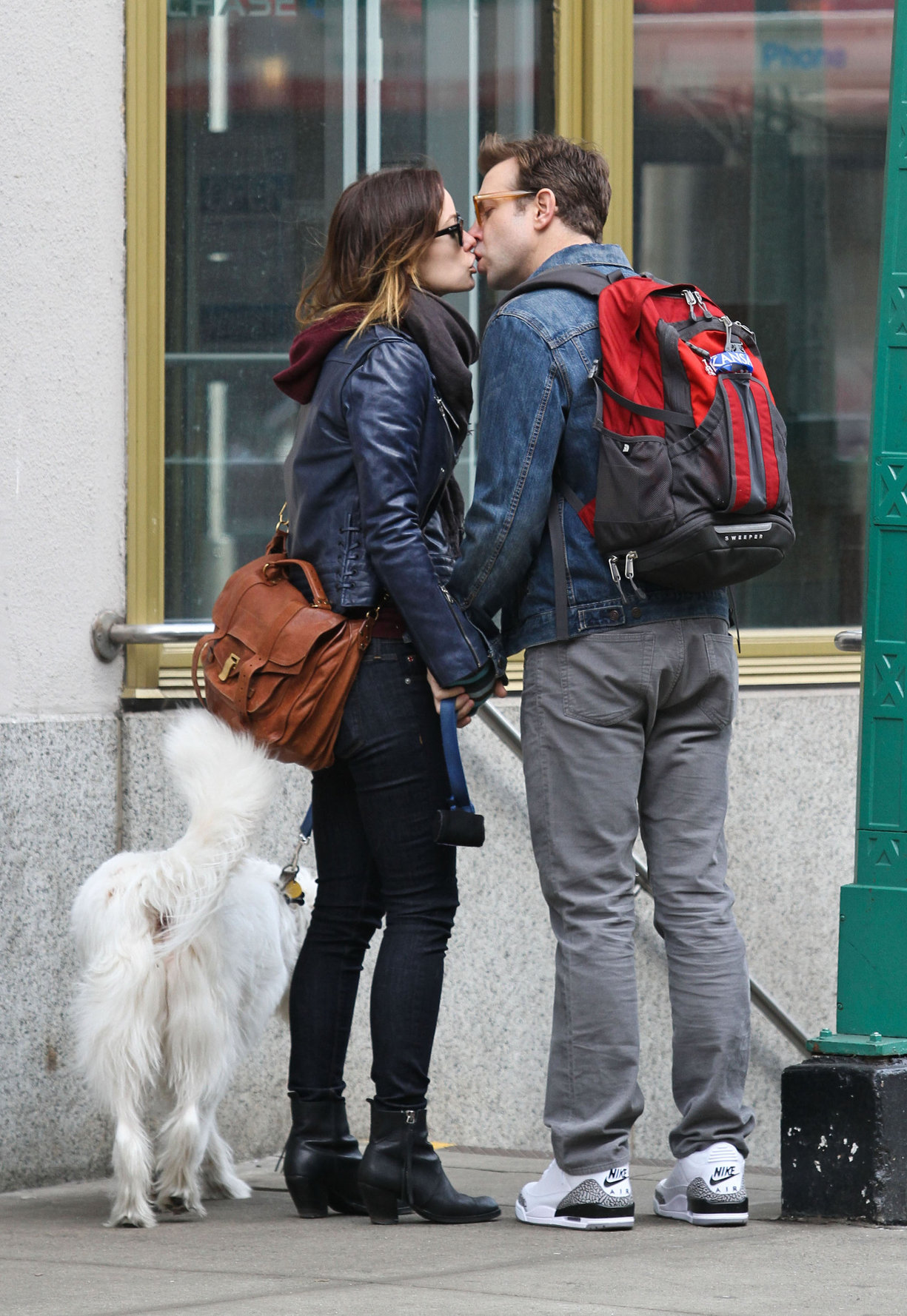 Olivia Wilde out walking her dog in New York City - February 16, 2013 