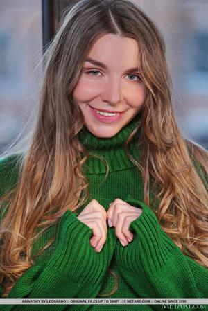 Arina Shy Nude Pictures Top Floor