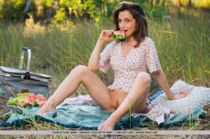 Susie Nude Pictures Picnic Fun