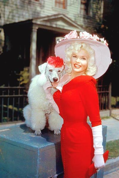 Jayne Mansfield