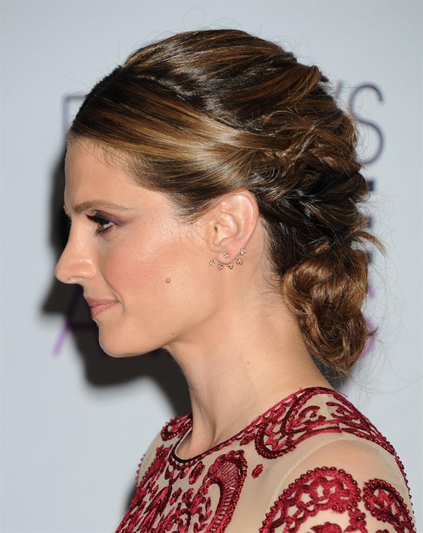 Stana Katic