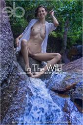In The Wild Alisa M