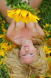 Hypatia - Big Sunflowers