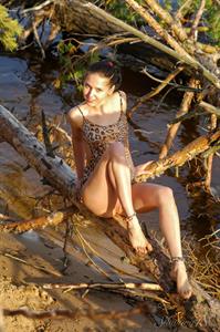 Titania - Wild Leopard