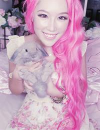 Xiaxue
