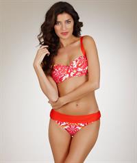 Nicole Williams English