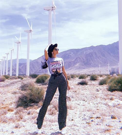 Nicole Williams English