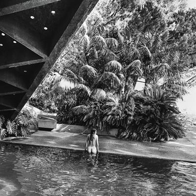 Nicole Williams English