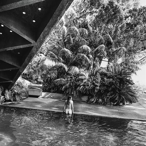 Nicole Williams English