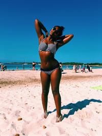 Media Personality and political commentator.