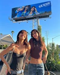 Guess - Under the Billboard