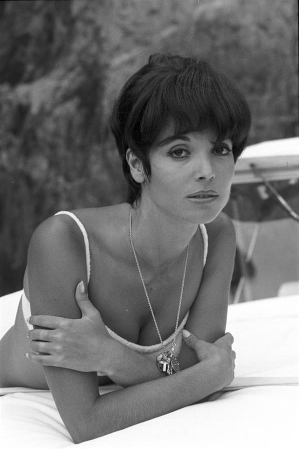 Elsa Martinelli in a bikini