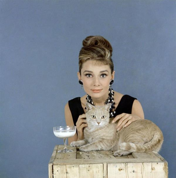 Audrey Hepburn