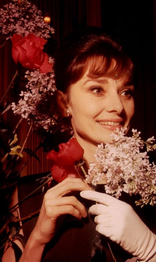 Audrey Hepburn