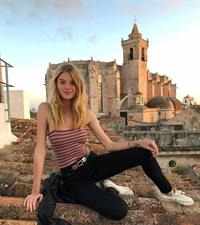 Willow Hand