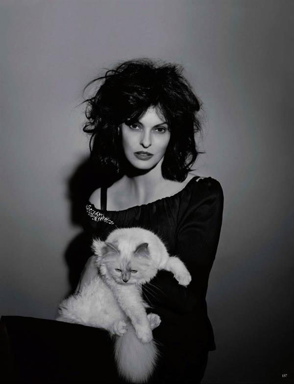 Linda Evangelista