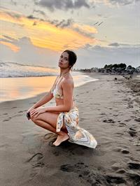 Priscilla Meirelles in a bikini