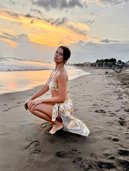Priscilla Meirelles in a bikini
