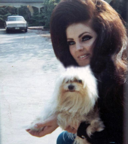 Priscilla Presley