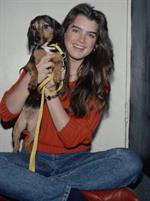 Brooke Shields