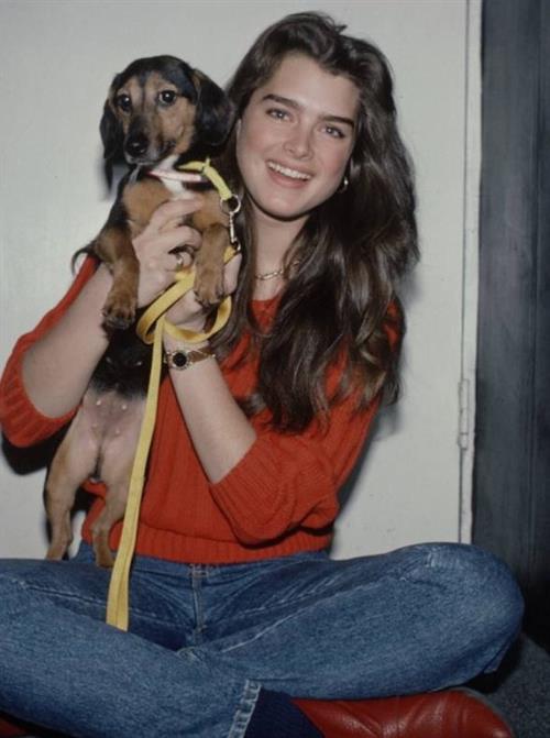Brooke Shields