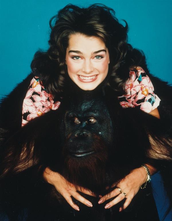 Brooke Shields