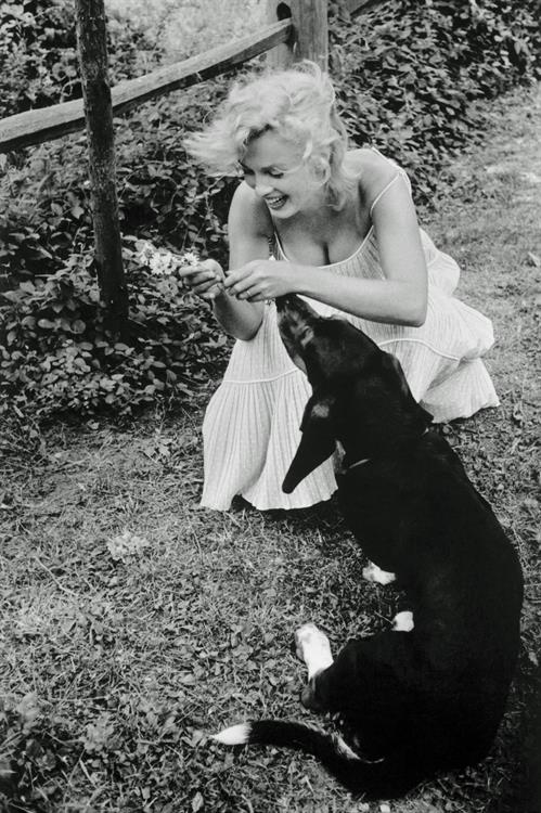 Marilyn Monroe