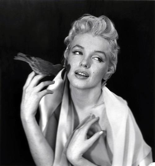 Marilyn Monroe