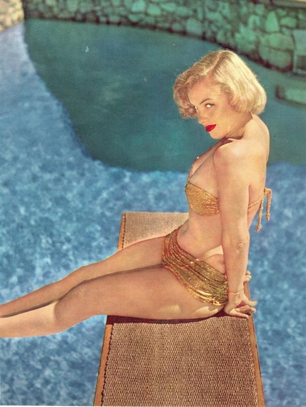 Marilyn Monroe in a bikini