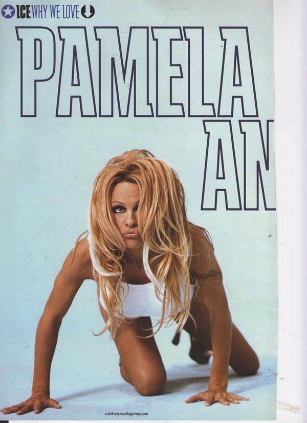 Pamela Anderson in a bikini