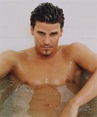 David Boreanaz