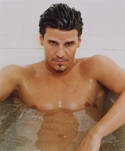 David Boreanaz
