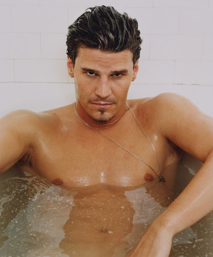 David Boreanaz